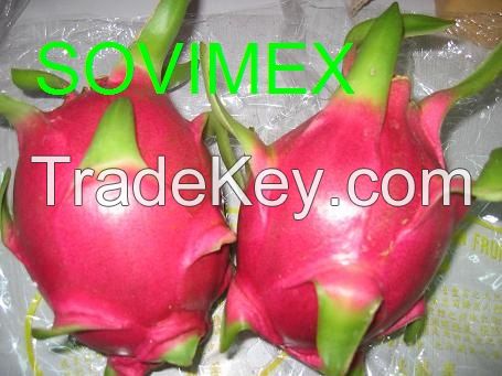 DRAGON FRUIT