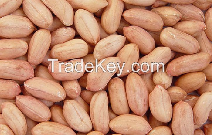 Peanut Kernels