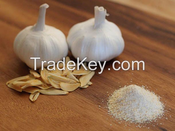 Garlic Powder Spice