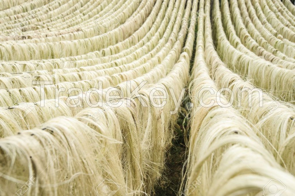 Sisal Fiber