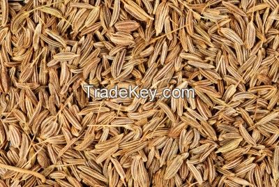 Sell Cumin Grain