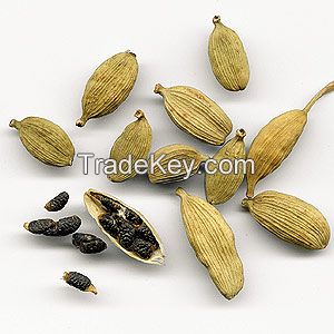 Sell Cardamom Seed