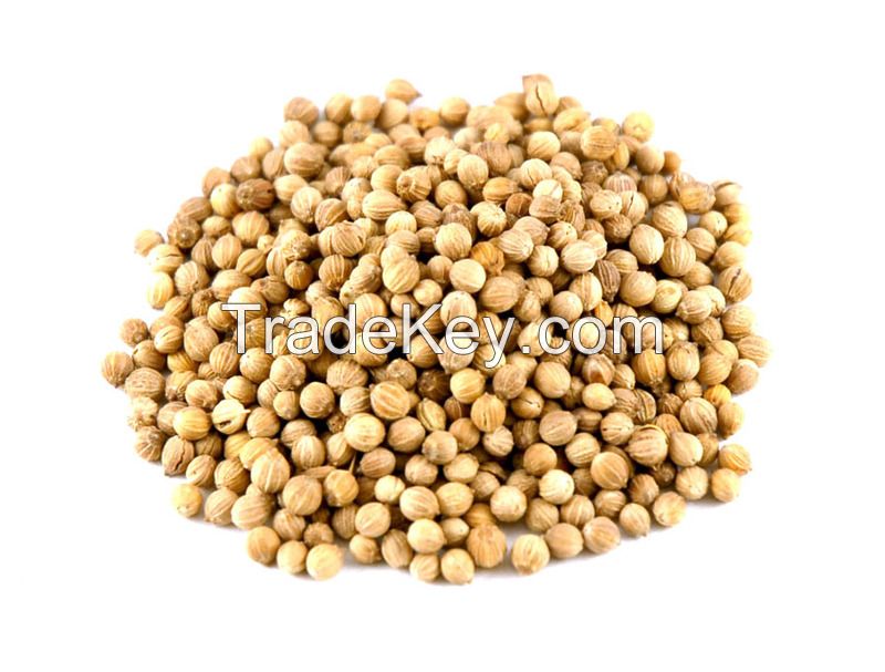 Sell Coriander Seeds