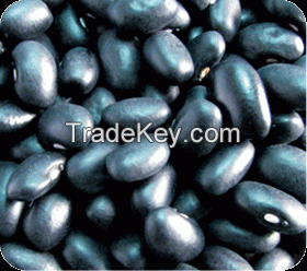 Sell Small black kidney beans