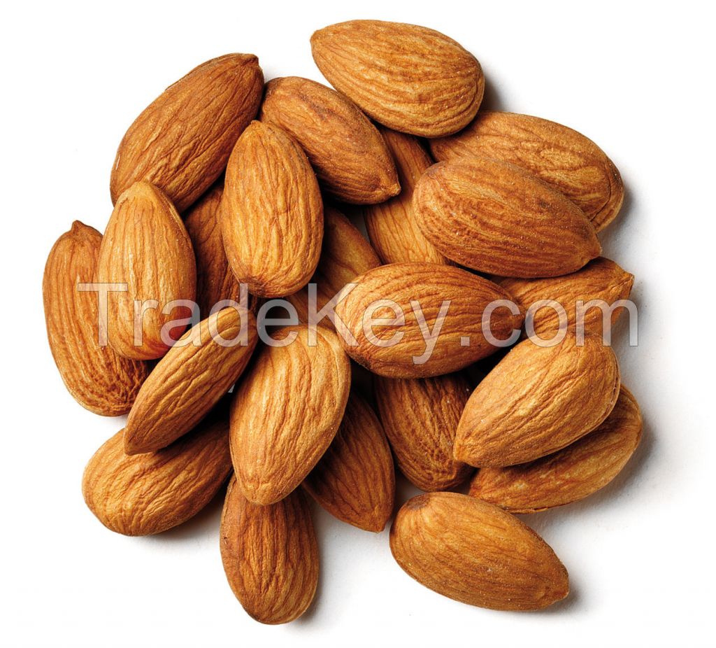 Sell Almond Nut
