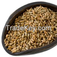 Sell Cracked Rye Berries