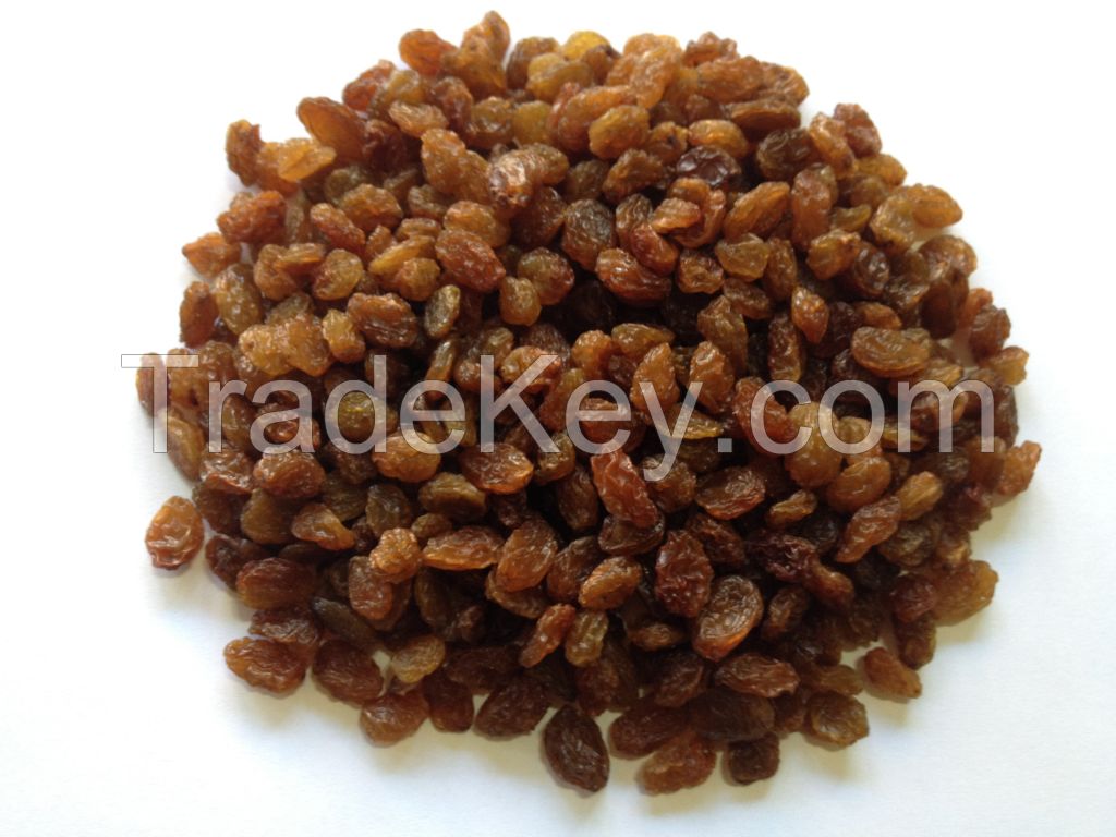 Sell Sultana Raisins