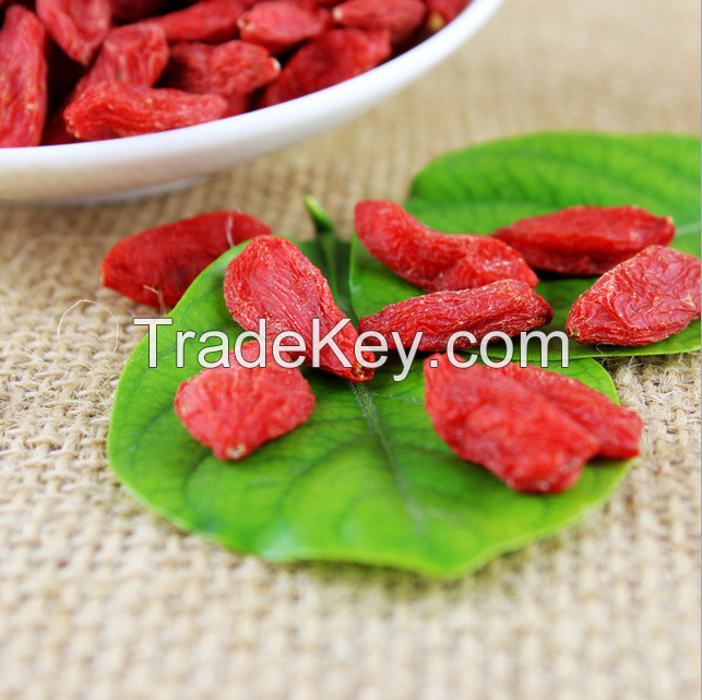 dried organic goji berries