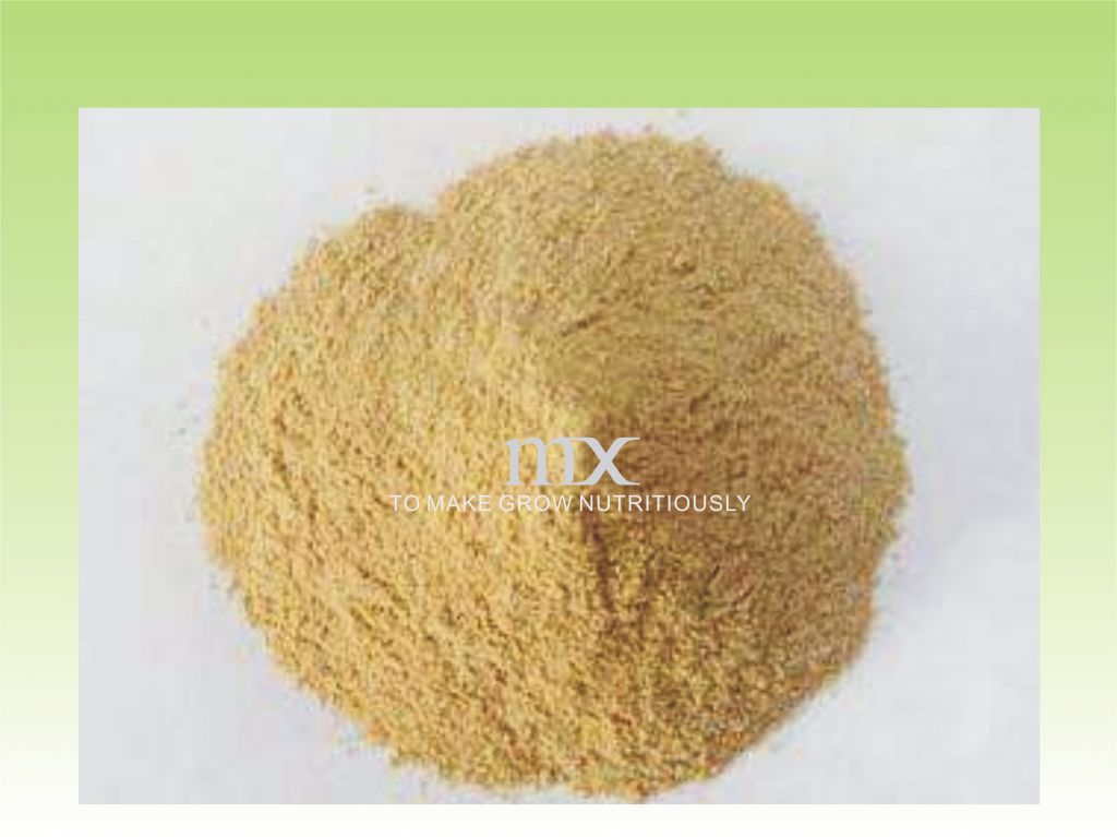 Amino Acid Powder