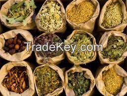 Sell Medicinal Herbs