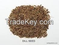 Dried Dill, Dill Seeds