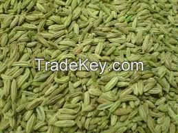 ORIGINAL exports Fennel Seeds