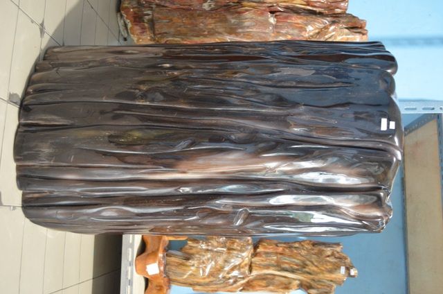 Polished Fossil Wood Stone (Hakeek Stone)