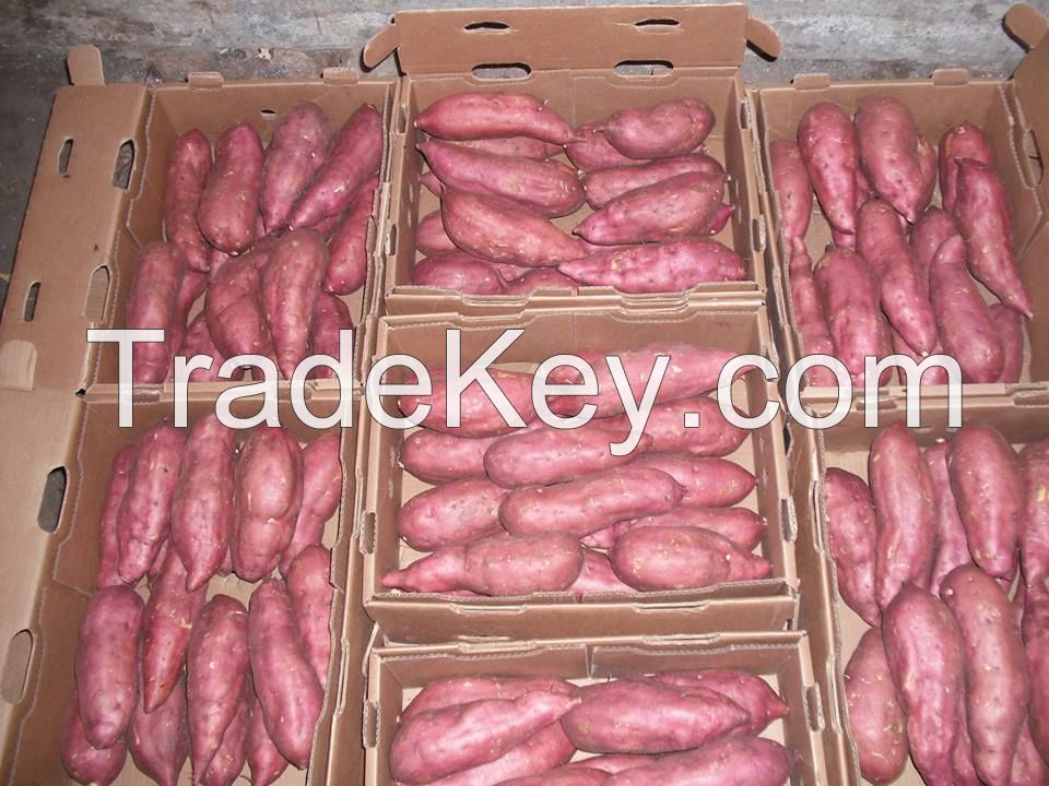 Sell sweet potatoes