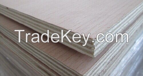 Sell Beech Furniture Plywood