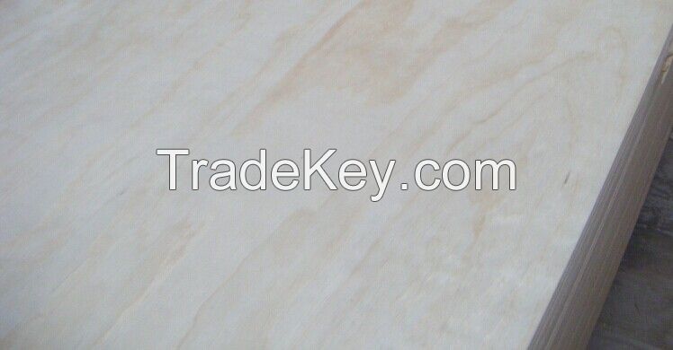 Sell Pine Construction Plywood