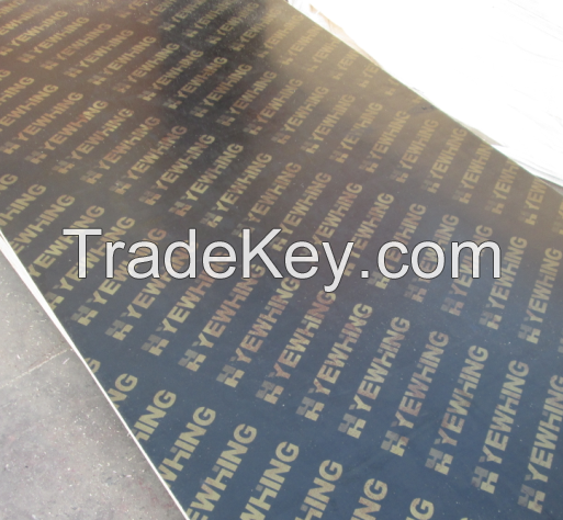 Black Film Face Plywood With Logo