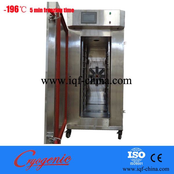 hot sales SD-100 kg/hour  IQF  freezer