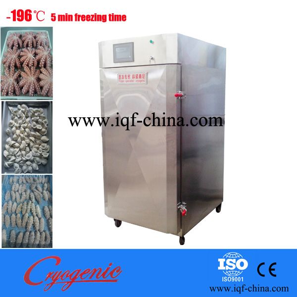 hot sales SD-200 kg/hour  quick freeze machine
