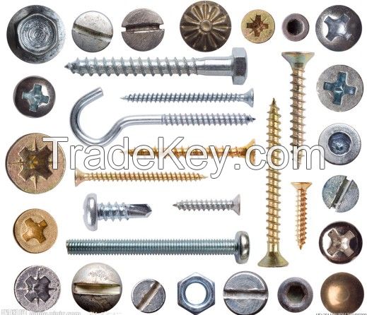 kinds of screws types and sizes