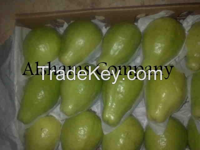Egyptian guava