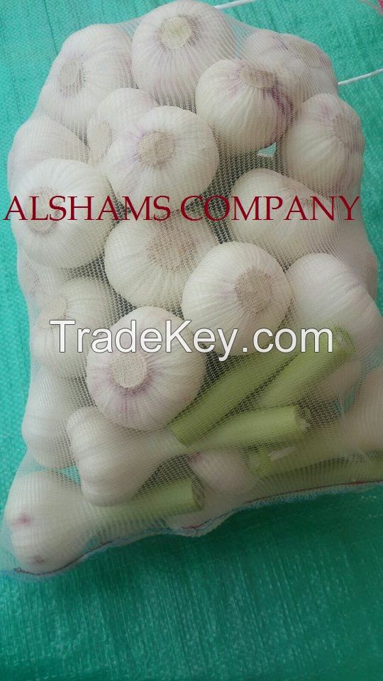 we offer fresh Egyptian garlic