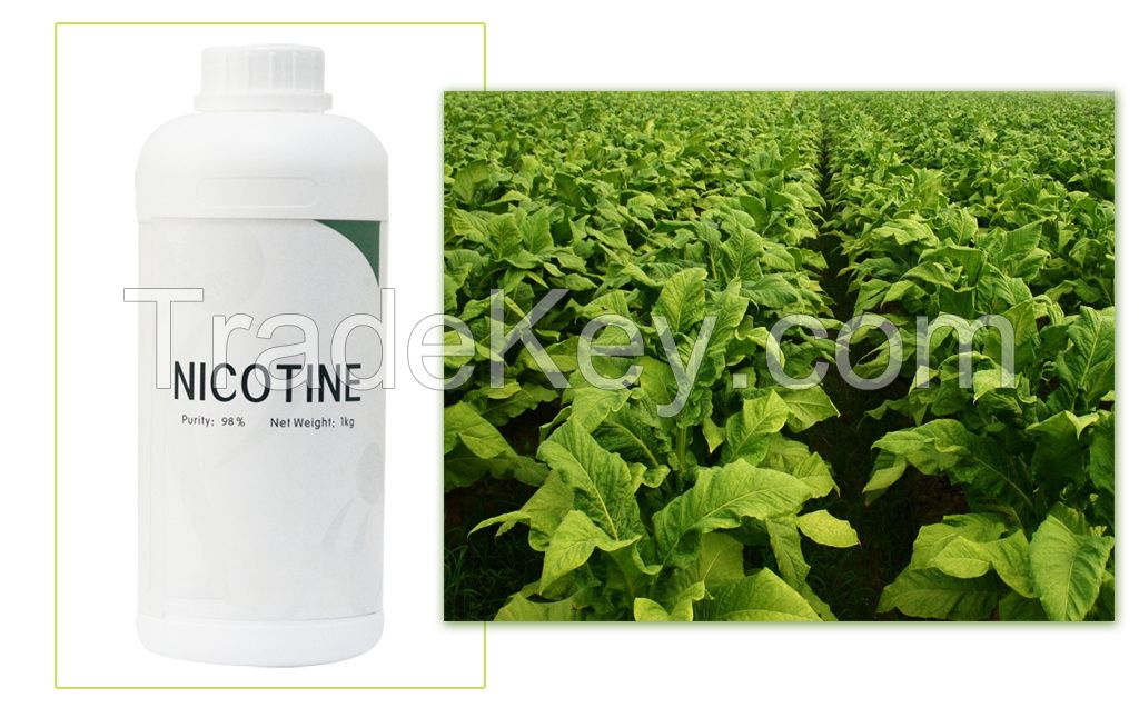 High Quality Pure Nicotine Factory for Vapor