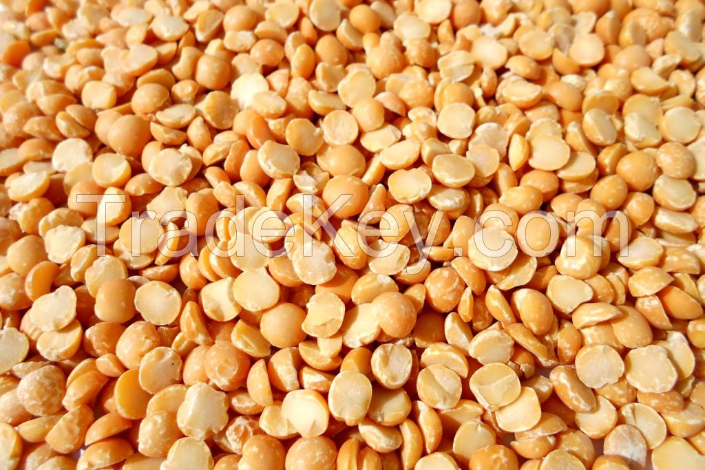 yellow peas polished