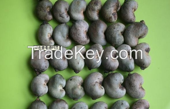 Raw and roasted Quality Cashew Nuts for sale