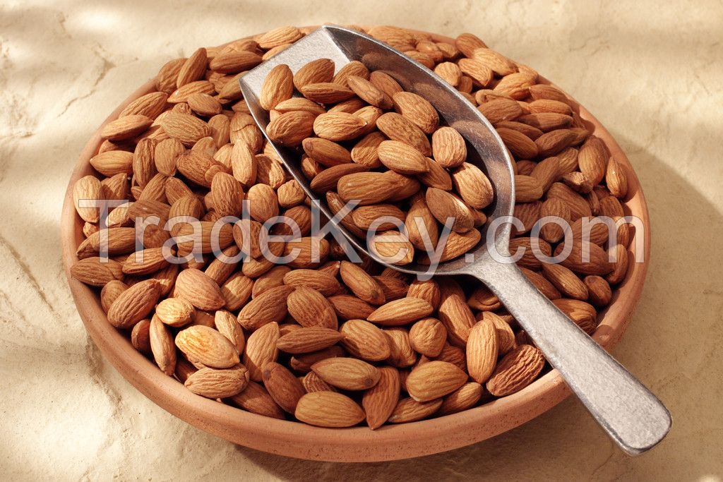 Almond, high quality with low price