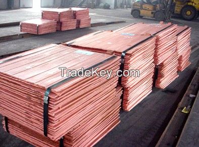 Copper Cathode High Purity 99.99% Grade a Good Quality