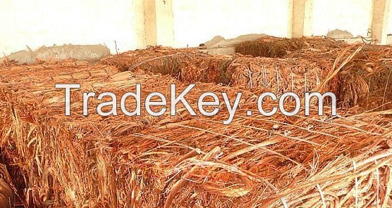 Sell Pure Millberry Copper Wire, Copper Scraps, Copper Wire Scrap 99.9%