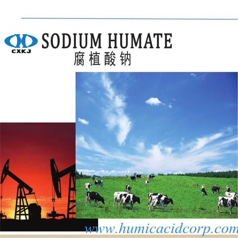 Manufacture 100% Water Soluble Super Sodium Humate Powder