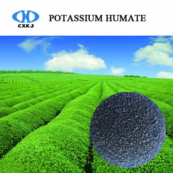 Offer: 95% soluble Potassium humate crystal from leonardite organic fertilizer
