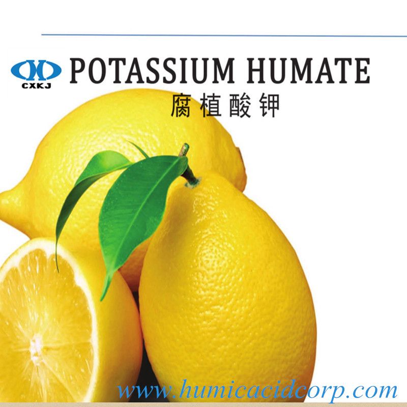 Offer: 95% soluble Potassium humate powder K-humate from dedicated HUMATE manufacturer