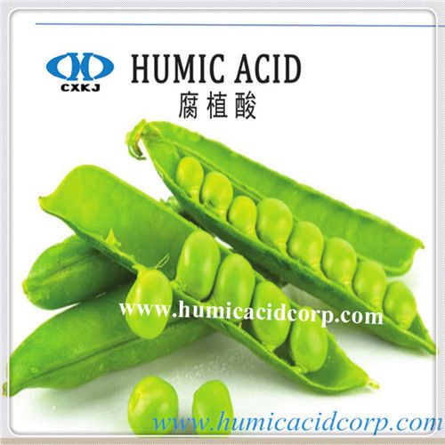 Humic acid powder