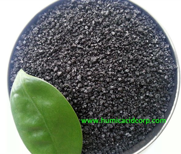 Potassium humate crystal