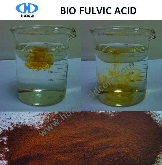 100% Water Solubility High Quality Biochemical Fulvic Acid Plant Source