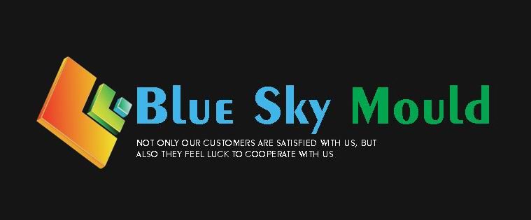BLUE SKY PRECISE MOULD INDUSTRY LIMITED