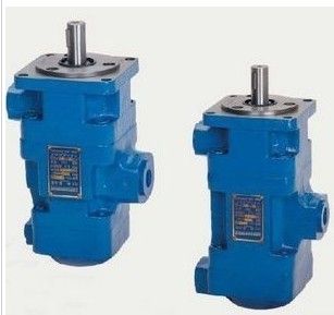 YB1-10/10 double vane pump oil pump hydraulic pump 6.3MPA