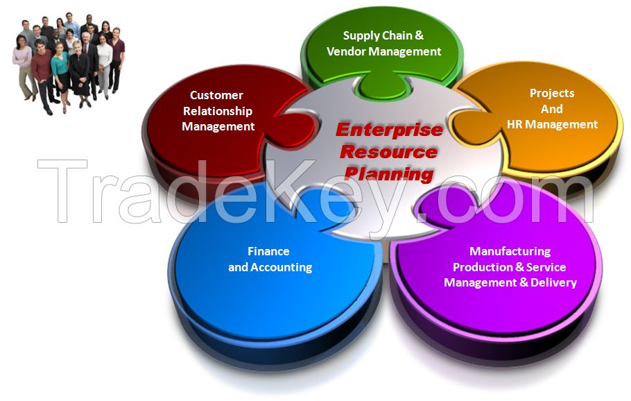 ERP Solutions (Standard Solutions/Supply chain)