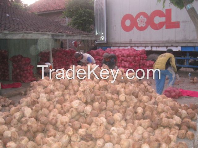 Semi Husked Coconuts