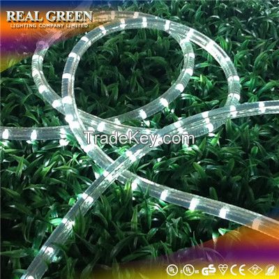 2-Wire Standard Cool White LED Rope Light