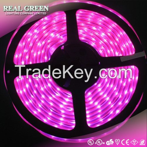 Waterproof 12V LED strip light