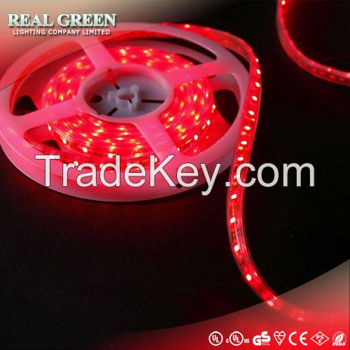 Waterproof 3528 12V LED strip light