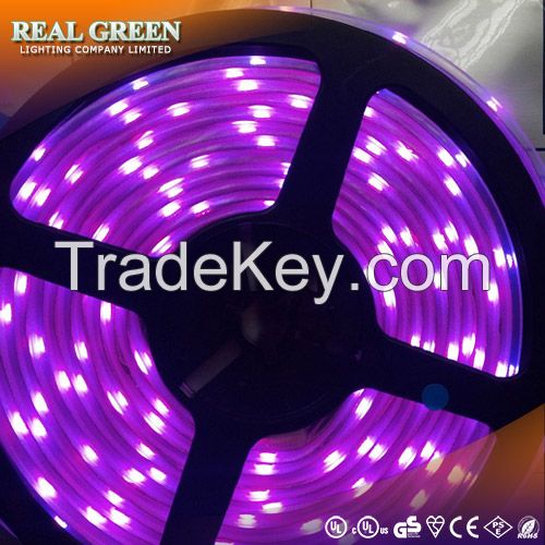 12V 2835 LED strip light