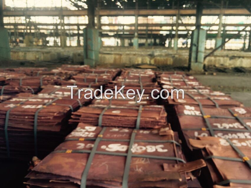 Copper Cathodes 99.99% ready for export