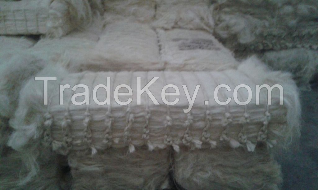 UG Grade Sisal Fiber