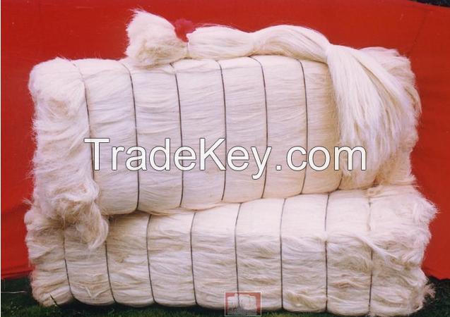 SISAL FIBER PRODUCER