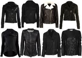 Leather   Jacket  / Coat    60-100 dollars
